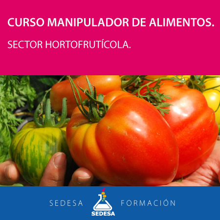 curso-manipulador-alimentos-1