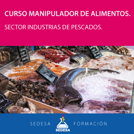 curso-manipulador-alimentos-13